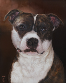 Bruno