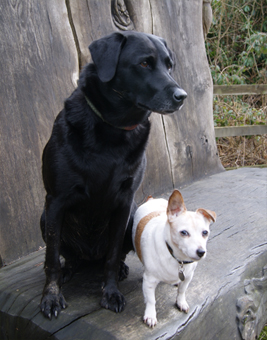 Gemma & Jess Photo