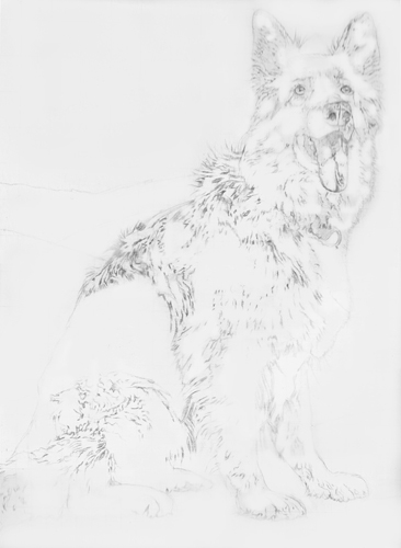 Maddie sketch