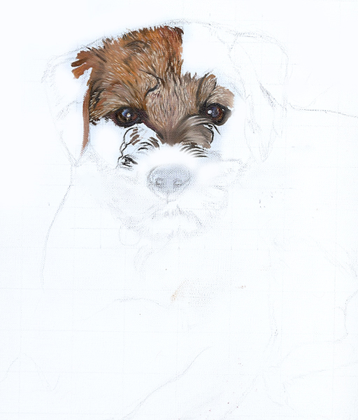 Portrait Stage 2
