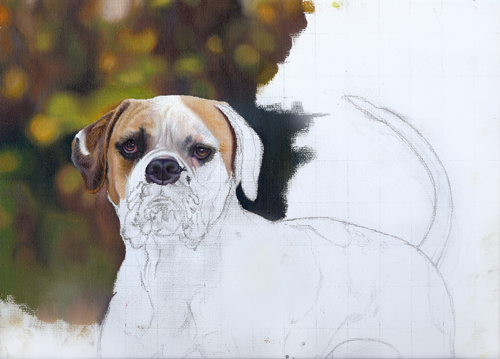 Roxy Stage 3