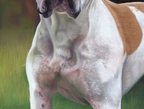 Roxy detail