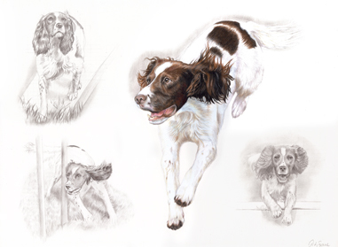 Ru agility portrait
