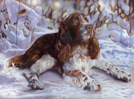 Rupert Pet portrait