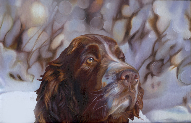 Rupert-stage 4