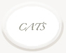 Back to cat portraits