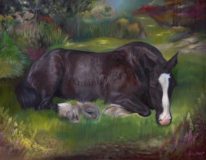 horse in oils