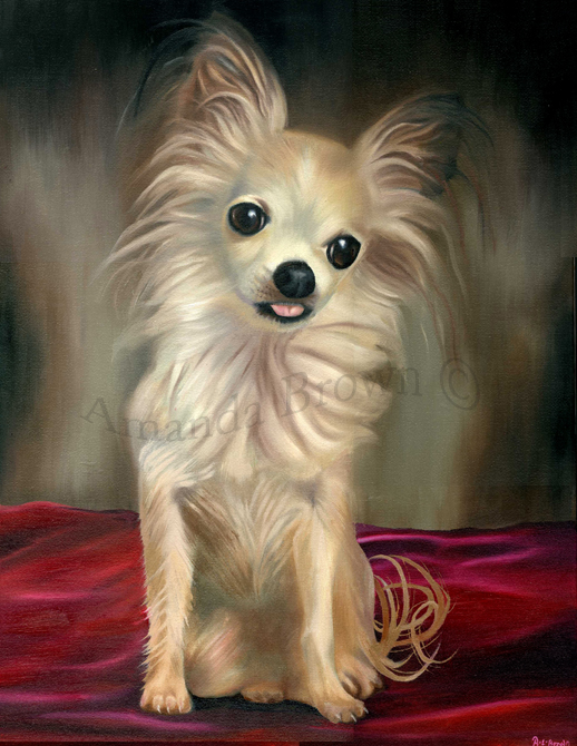 Gizmo portrait