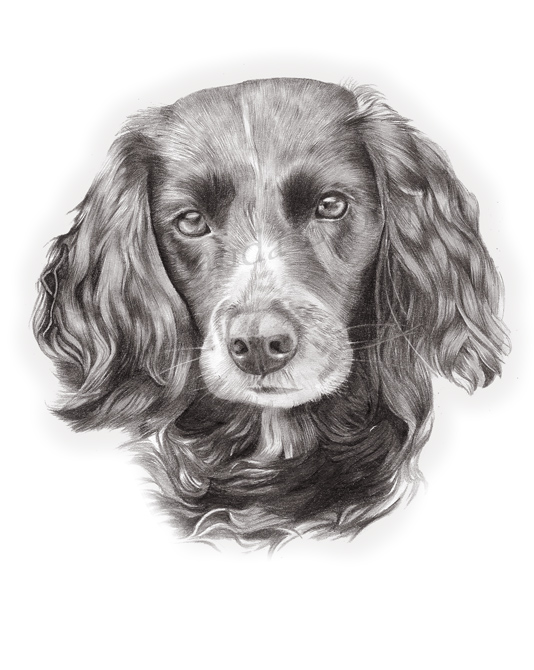 Mist in pencil