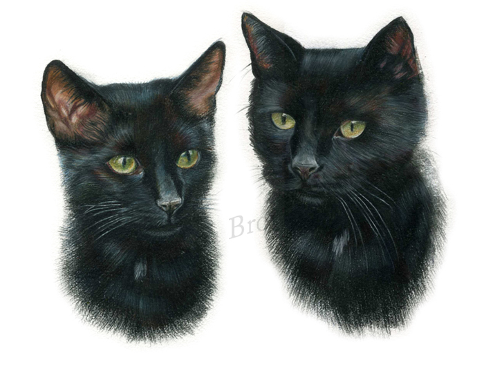Neo and Nala