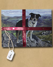 Pet portrait prices