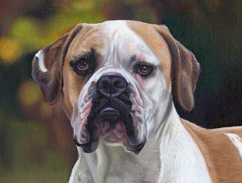 Roxy close up
