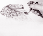 Pencilling