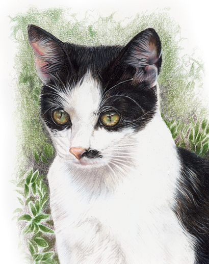 Smudge detail