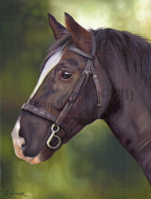 Soldier the horse