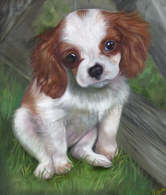 Sophie